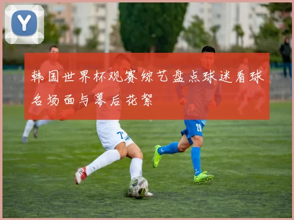 韩国世界杯观赛综艺盘点球迷看球名场面与幕后花絮