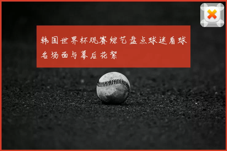 韩国世界杯观赛综艺盘点球迷看球名场面与幕后花絮