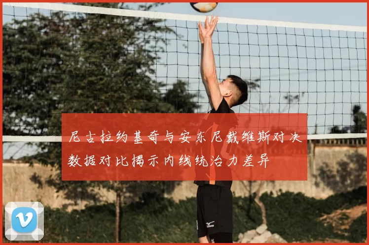 尼古拉约基奇与安东尼戴维斯对决数据对比揭示内线统治力差异